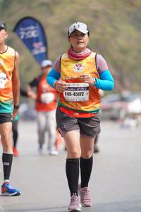 BIB: 45172
                            <button type="button" onclick="openModal(8701046)" class="btn btn-primary btn-sm float-right btn-popup" data-toggle="modal" data-target=".modal-high-quality">
                        <i class="fas fa-shopping-cart"></i> Add to Cart
                    </button>
                                            <button type="button" onclick="isThisMe(8701046, true)" class="btn btn-success btn-sm float-right btn-popup btn-isme hidden" data-toggle="tooltip" data-placement="bottom" title="นี่คือรูปของคุณใช่ไหม คลิกที่นี่เพื่อเอาเข้าอัลบั้ม">
                        <i class="fas fa-plus"></i> Add to album
                    </button>
                    <button type="button" onclick="isThisMe(8701046, false)" class="btn btn-warning btn-sm float-right btn-popup btn-isnotme hidden">
                        <i class="fas fa-ban"></i> Remove from album
                    </button>